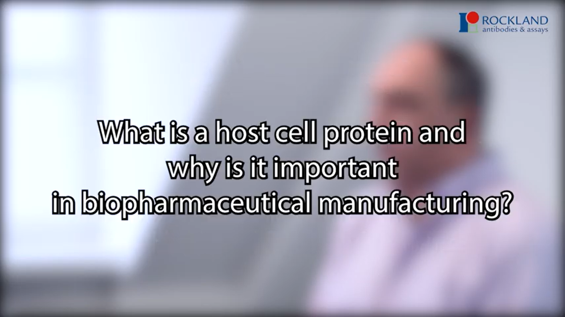 What is a host cell protein