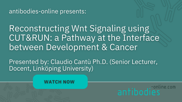 CUT&RUN Webinar antibodies-online - Reconstructing Wnt Signaling using CUT&RUN