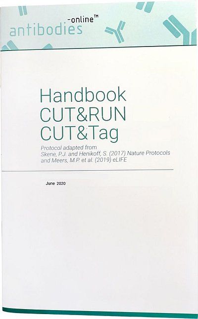 antibodies-online CUT&RUN and CUT&Tag Handbook Handbook