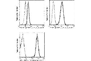 Image no. 2 for anti-CD276 (CD276) (AA 1-461) antibody (PE) (ABIN1998401)