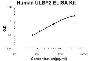 Image no. 1 for UL16 Binding Protein 2 (ULBP2) ELISA Kit (ABIN5510744)
