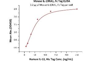 Immobilized Mouse IL-13RA1, Fc Tag (ABIN2181338,ABIN2181337) at 2 μg/mL (100 μL/well) can bind Human IL-13, His Tag (ABIN6923160,ABIN6938873) with a linear range of 8-63 ng/mL (QC tested).