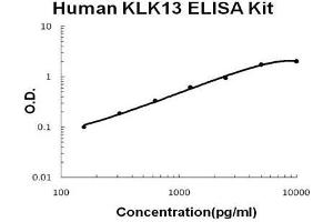 Image no. 1 for Kallikrein-Related Peptidase 13 (KLK13) ELISA Kit (ABIN2859316)