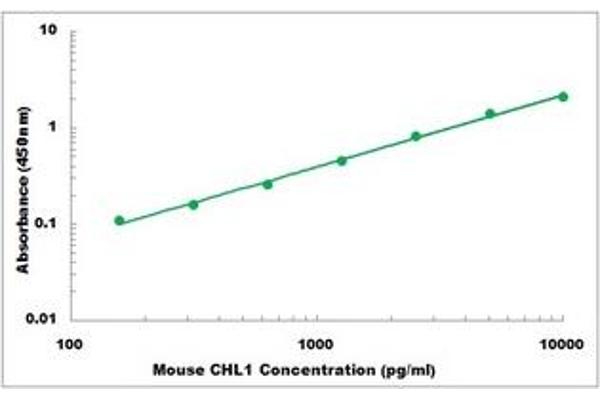 CHL1 ELISA 试剂盒