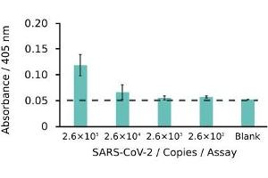 Image no. 1 for anti-SARS-CoV-2 Nucleocapsid (SARS-CoV-2 N) antibody (ABIN6953169)