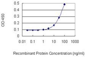 Detection limit for recombinant GST tagged POLR1B is 3 ng/ml as a capture antibody.