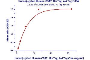 Image no. 2 for CD47 (CD47) (AA 19-139) (Active) protein (His tag,AVI tag) (ABIN4949217)