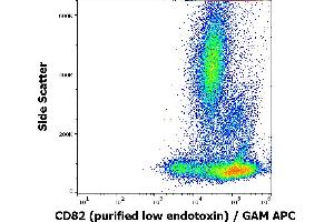 Image no. 3 for anti-CD82 (CD82) antibody (ABIN2749189)