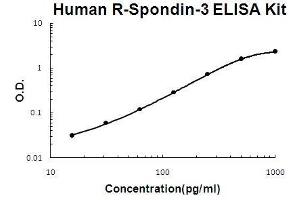 Image no. 1 for R-Spondin 3 (RSPO3) ELISA Kit (ABIN5510682)