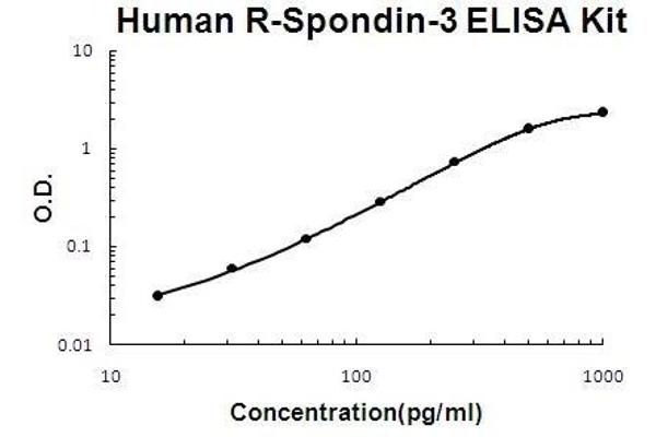 R-Spondin 3 (RSPO3) ELISA Kit