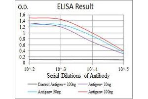 Image no. 1 for anti-Slingshot Homolog 1 (SSH1) (AA 1032-1044) antibody (ABIN5542668)