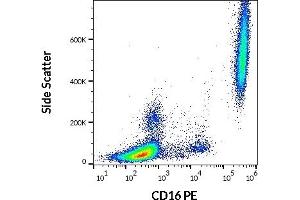 Flow cytometry surface staining pattern of human peripheral whole blood stained using anti-human CD16 (3G8) PE (20 μL reagent / 100 μL of peripheral whole blood).