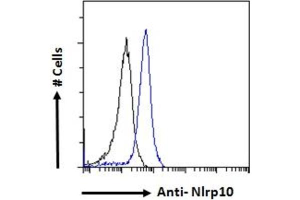 NLRP10 antibody  (N-Term)