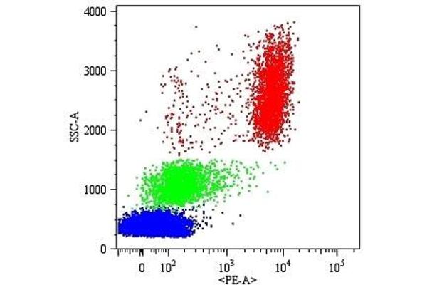 FCGR3B antibody  (PE)