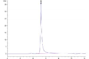 Size-exclusion chromatography-High Pressure Liquid Chromatography (SEC-HPLC) image for Adenosine A2a Receptor (ADORA2A) (Active) protein-VLP (ABIN7448150)