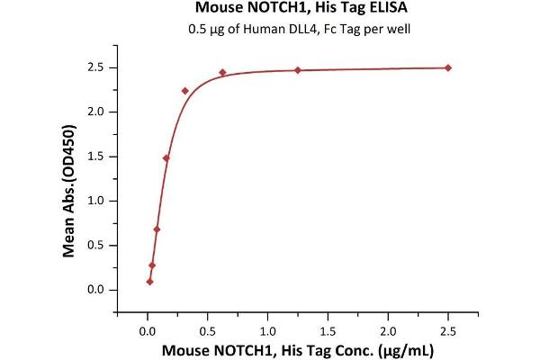 Notch1 Protein (AA 19-526) (His tag)
