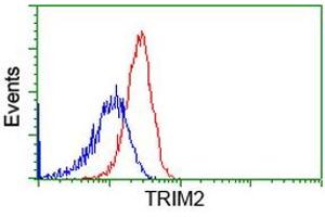 Image no. 3 for anti-Tripartite Motif Containing 2 (TRIM2) (AA 1-100), (AA 645-744) antibody (ABIN1490540)