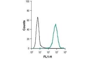 Cell surface detection of EphB1 in live intact human THP-1 monocytic leukemia cell line: (black line) Cells + goat anti-rabbit-AlexaFluor-488 secondary antibody.