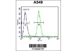 Image no. 1 for anti-SRY (Sex Determining Region Y)-Box 3 (SOX3) (Center) antibody (ABIN2503361)