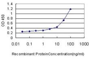 Image no. 1 for anti-Uroporphyrinogen Decarboxylase (UROD) (AA 268-367) antibody (ABIN521280)