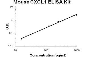Image no. 1 for Chemokine (C-X-C Motif) Ligand 1 (Melanoma Growth Stimulating Activity, Alpha) (CXCL1) ELISA Kit (ABIN411393)
