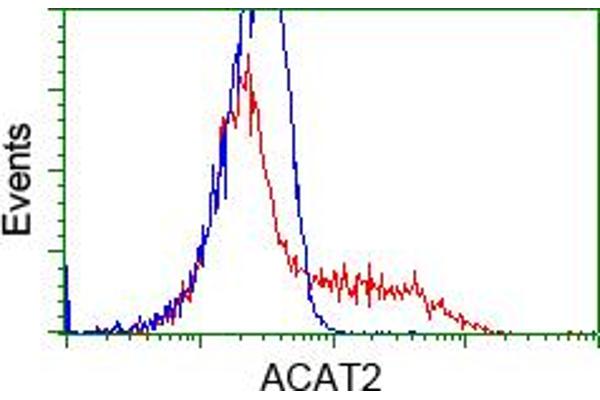 ACAT2 抗体