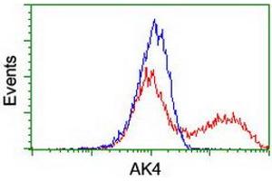 Image no. 10 for anti-Adenylate Kinase 4 (AK4) antibody (ABIN1496525)