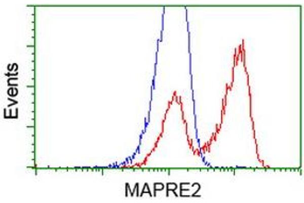 anti-Microtubule-Associated Protein, RP/EB Family, Member 2 (MAPRE2) antibody