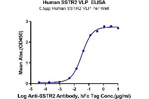 ELISA image for Somatostatin Receptor 2 (SSTR2) (Active) protein (ABIN7448172)