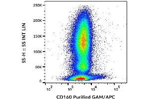 Image no. 1 for anti-CD160 (CD160) antibody (ABIN2749166)