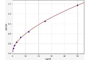SNAP25 ELISA Kit