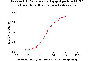 Image no. 4 for Cytotoxic T-Lymphocyte-Associated Protein 4 (CTLA4) protein (mFc-His Tag) (ABIN6961090)