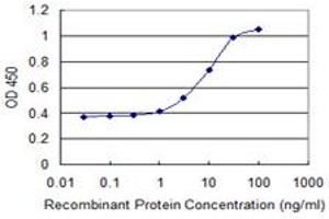 IKZF5 antibody  (AA 2-100)