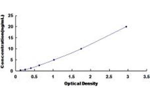 BIRC6 ELISA Kit