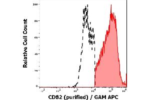 Image no. 2 for anti-CD82 (CD82) antibody (ABIN1043024)