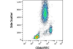 Flow cytometry surface staining pattern of human peripheral whole blood stained using anti-human CD64 (10.