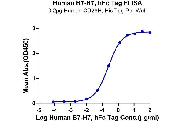 HHLA2 Protein (HERV-H LTR-Associating 2) (Fc Tag)