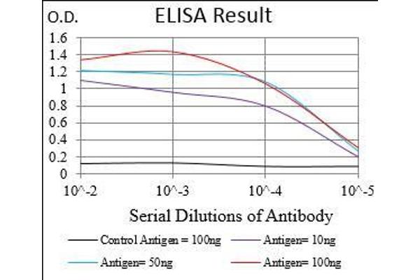 anti-Colony Stimulating Factor 1 Receptor (CSF1R) (AA 344-497) antibody
