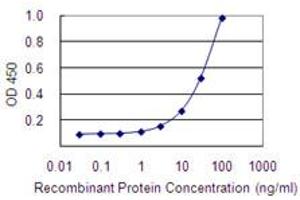 Detection limit for recombinant GST tagged RRAGB is 1 ng/ml as a capture antibody.