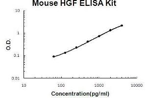 Image no. 1 for Hepatocyte Growth Factor (Hepapoietin A, Scatter Factor) (HGF) ELISA Kit (ABIN2859322)