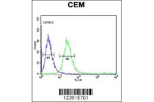 Flow Cytometry (FACS) image for anti-Fc Fragment of IgG, High Affinity Ib, Receptor (CD64) (FCGR1B) antibody (ABIN2158817)
