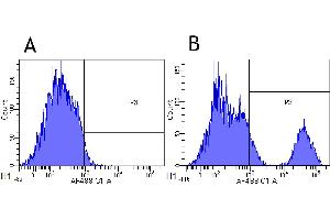 Flow Cytometry (FACS) image for anti-MS4A1 (Rituximab Biosimilar) antibody (ABIN5668183)