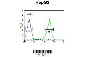 Image no. 3 for anti-Pterin-4 alpha-Carbinolamine Dehydratase/dimerization Cofactor of Hepatocyte Nuclear Factor 1 alpha (PCBD1) (AA 11-37) antibody (ABIN653056)