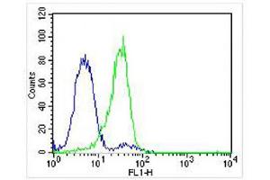 Image no. 4 for anti-Enhancer of Zeste Homolog 2 (EZH2) (AA 1-296), (N-Term) antibody (ABIN650707)