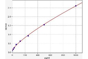 DCLK1 ELISA Kit