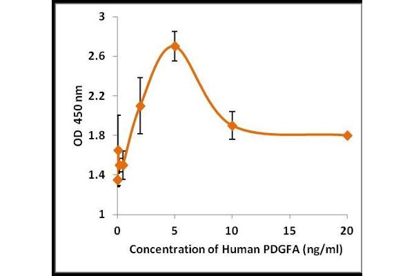 Platelet Derived Growth Factor Subunit A (PDGFA) (Active) protein