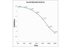 Image no. 1 for anti-Vascular Endothelial Growth Factor A (VEGFA) (AA 141-180) antibody (ABIN707186)