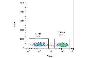 Surface staining of human peripheral blood with anti-TCR alpha/beta (IP26) biotin.