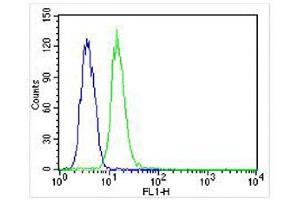 Image no. 3 for anti-Immunoglobulin Heavy Constant gamma 1 (G1m Marker) (IGHG1) (AA 154-180) antibody (ABIN654913)