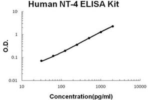 Neurotrophin 4 ELISA 试剂盒